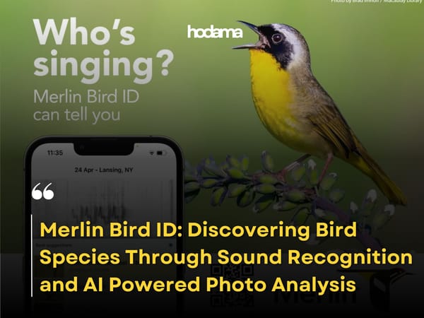 Merlin Bird ID: Discovering Bird Species Through Sound Recognition and AI Powered Photo Analysis